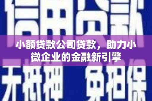 宣威小额贷款公司贷款，助力小微企业的金融新引擎