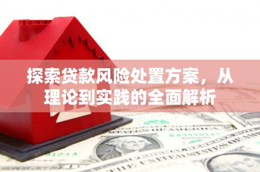 宣威探索贷款风险处置方案，从理论到实践的全面解析