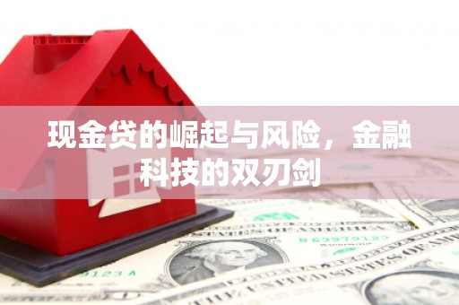 宣威现金贷的崛起与风险，金融科技的双刃剑