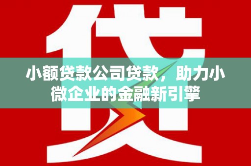 宣威小额贷款公司贷款，助力小微企业的金融新引擎