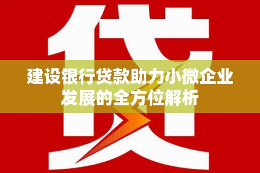 宣威建设银行贷款助力小微企业发展的全方位解析