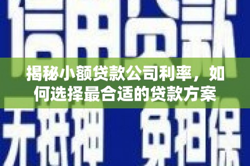 宣威揭秘小额贷款公司利率，如何选择最合适的贷款方案