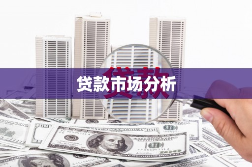 宣威贷款市场分析