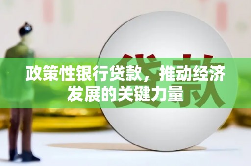 宣威政策性银行贷款，推动经济发展的关键力量