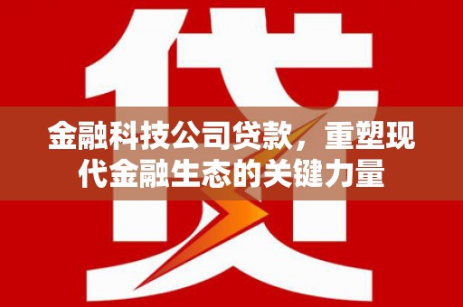 宣威金融科技公司贷款，重塑现代金融生态的关键力量