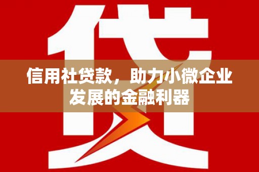宣威信用社贷款，助力小微企业发展的金融利器