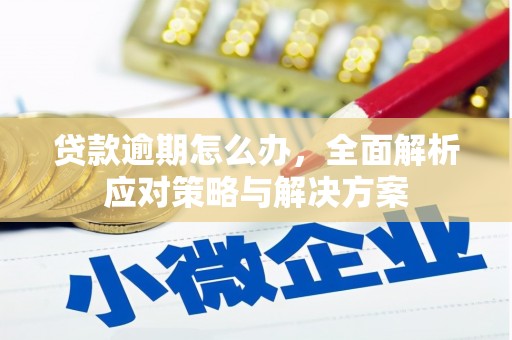 宣威贷款逾期怎么办，全面解析应对策略与解决方案