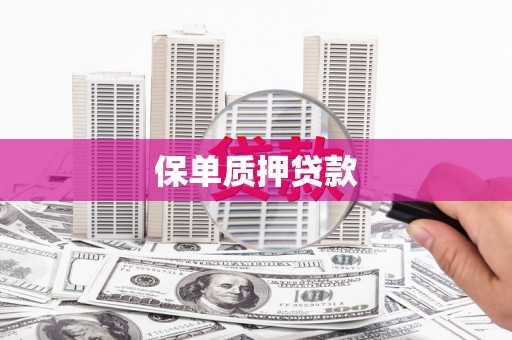 宣威保单质押贷款