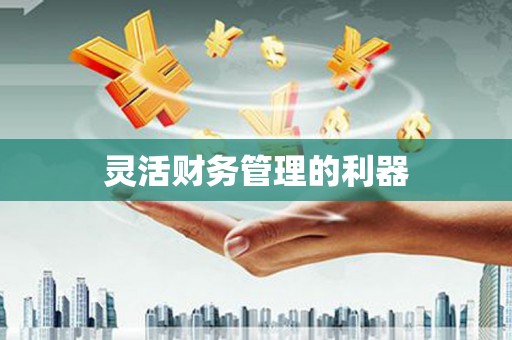 宣威灵活财务管理的利器