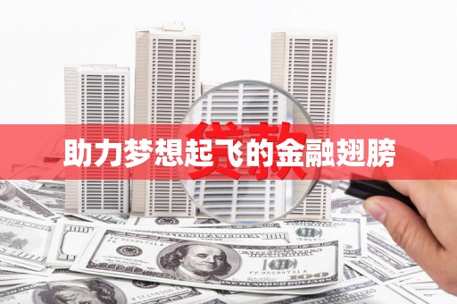 宣威助力梦想起飞的金融翅膀