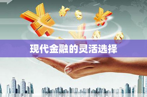 宣威现代金融的灵活选择