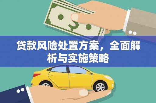宣威贷款风险处置方案，全面解析与实施策略