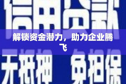 宣威解锁资金潜力，助力企业腾飞