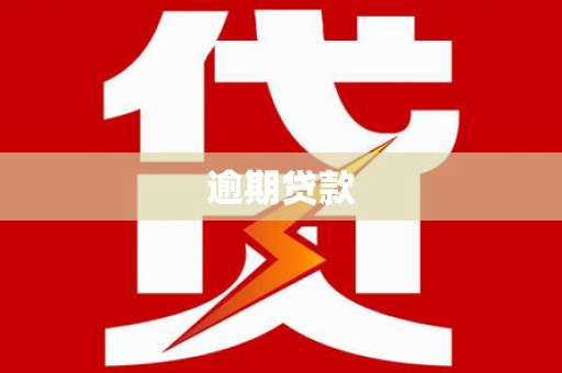 宣威逾期贷款
