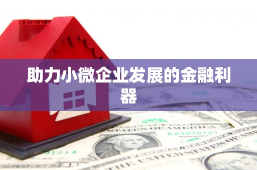 宣威助力小微企业发展的金融利器