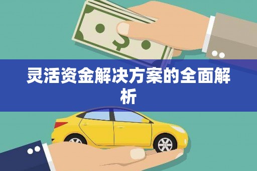 宣威灵活资金解决方案的全面解析