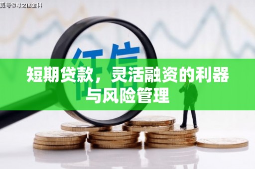宣威短期贷款，灵活融资的利器与风险管理