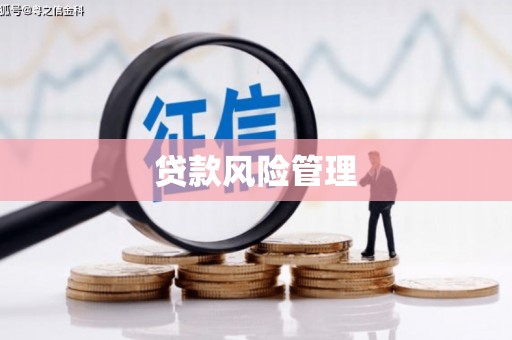 宣威贷款风险管理