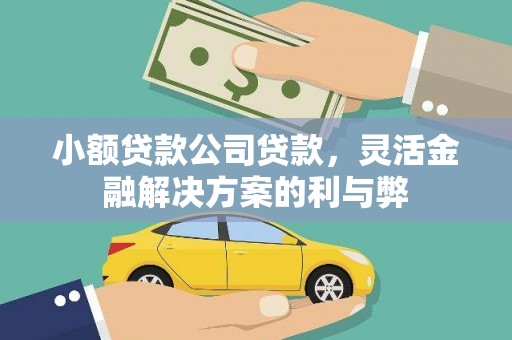 宣威小额贷款公司贷款，灵活金融解决方案的利与弊