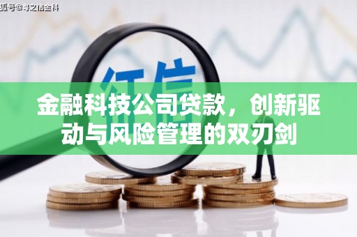 宣威金融科技公司贷款，创新驱动与风险管理的双刃剑